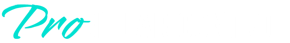 Pro Billar Control
